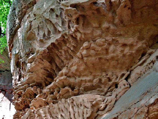 Wanderung Rimbachsteig 2016